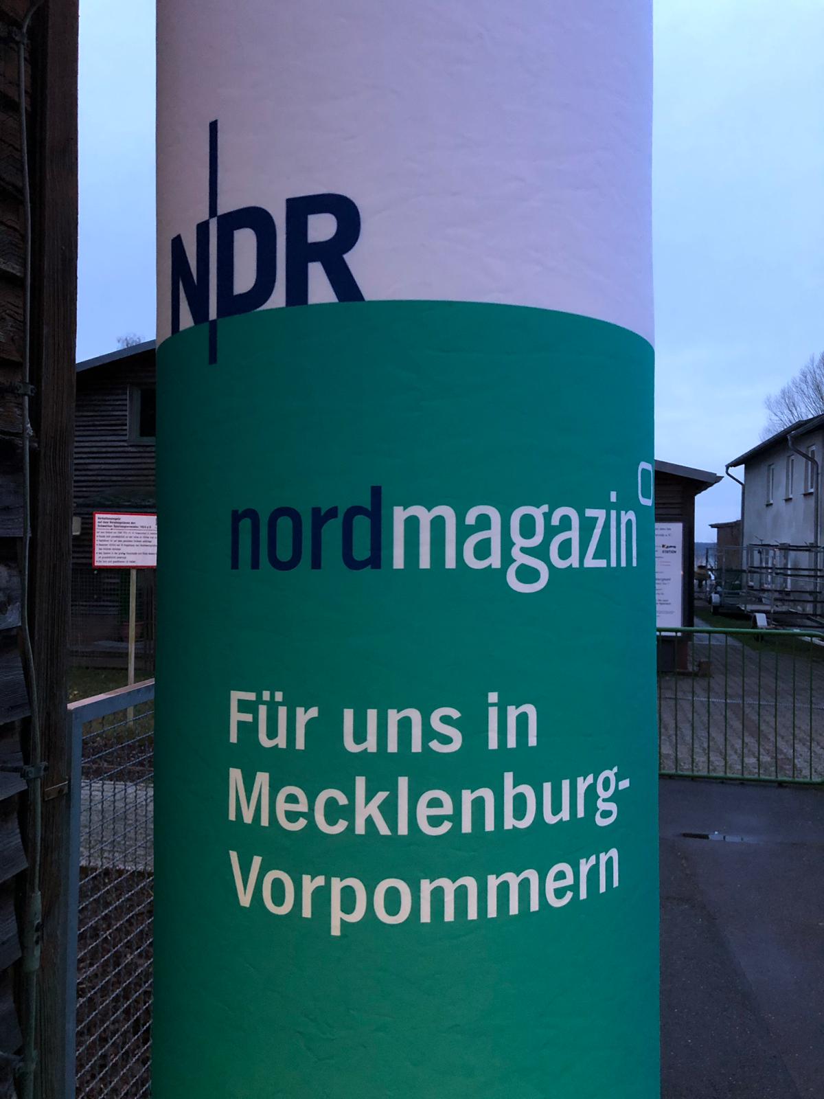 Sanierung Mole 2019 - IMG 20190128 WA0005